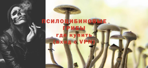 винт Арсеньев