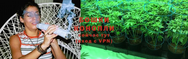 трава Армянск