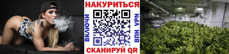 Марихуана гибрид Мичуринск